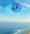 centro naturista iridologia iridology sky playa eye