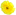 hidroterapia del colon flor amarilla clara tiny image