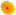indice flor anaranjada tiny image